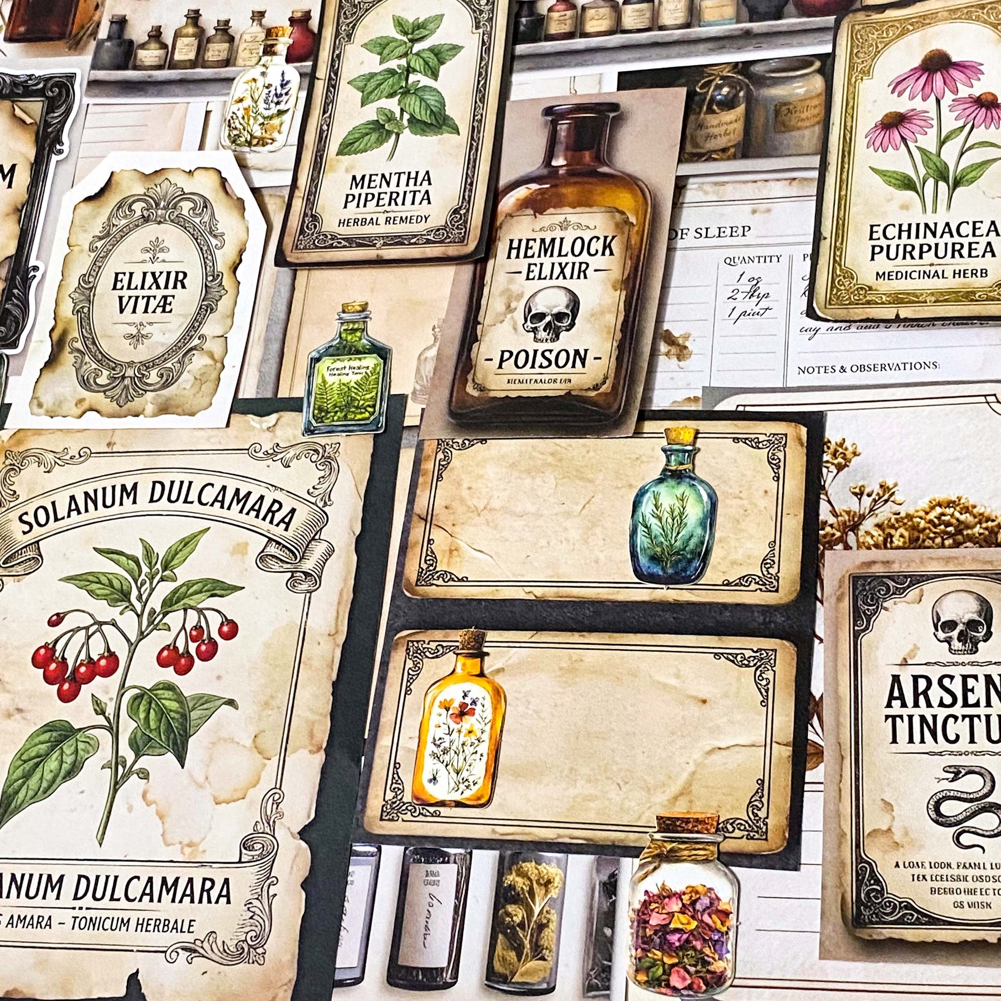 botanical and poison labels ephemera pack with vintage apothecary paper pieces flat lay showing 25 piece set for journaling and scrapbooking