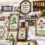 botanical and poison labels ephemera pack with vintage apothecary paper pieces flat lay showing 25 piece set for journaling and scrapbooking