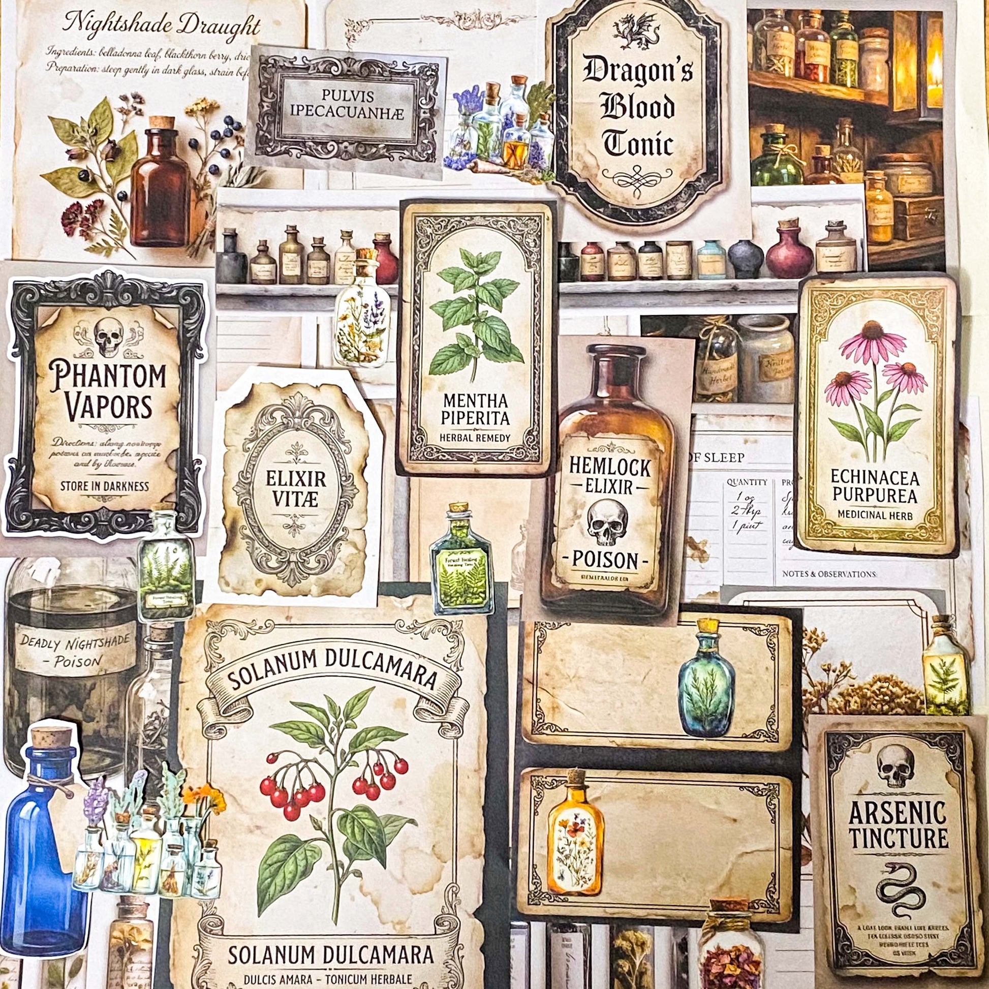 botanical and poison labels ephemera pack with vintage apothecary paper pieces flat lay showing 25 piece set for journaling and scrapbooking