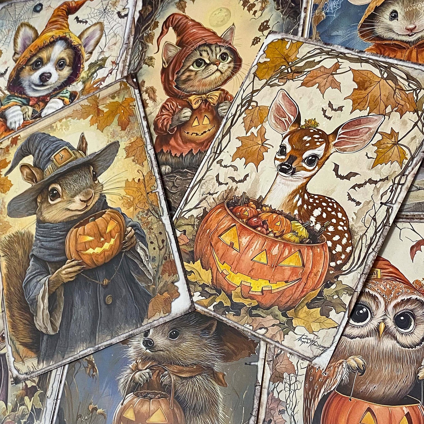 pumpkin pumpkins retro vintage halloween spooky animal animals woodland cute kawaii creatures postcard postcards post card cards sticker stickers hedgehog squirrel cat kitten dog puppy rabbit stoat weasel mouse mice owl bird uk stationery supplies planner addict gift gifts shop store