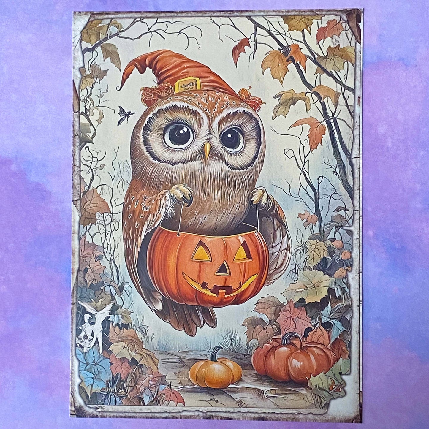 pumpkin pumpkins retro vintage halloween spooky animal animals woodland cute kawaii creatures postcard postcards post card cards sticker stickers hedgehog squirrel cat kitten dog puppy rabbit stoat weasel mouse mice owl bird uk stationery supplies planner addict gift gifts shop store deer