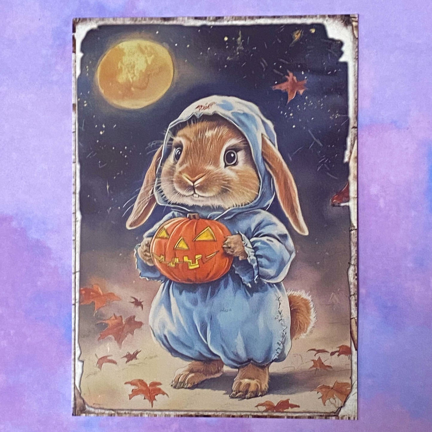 pumpkin pumpkins retro vintage halloween spooky animal animals woodland cute kawaii creatures postcard postcards post card cards sticker stickers hedgehog squirrel cat kitten dog puppy rabbit stoat weasel mouse mice owl bird uk stationery supplies planner addict gift gifts shop store deer