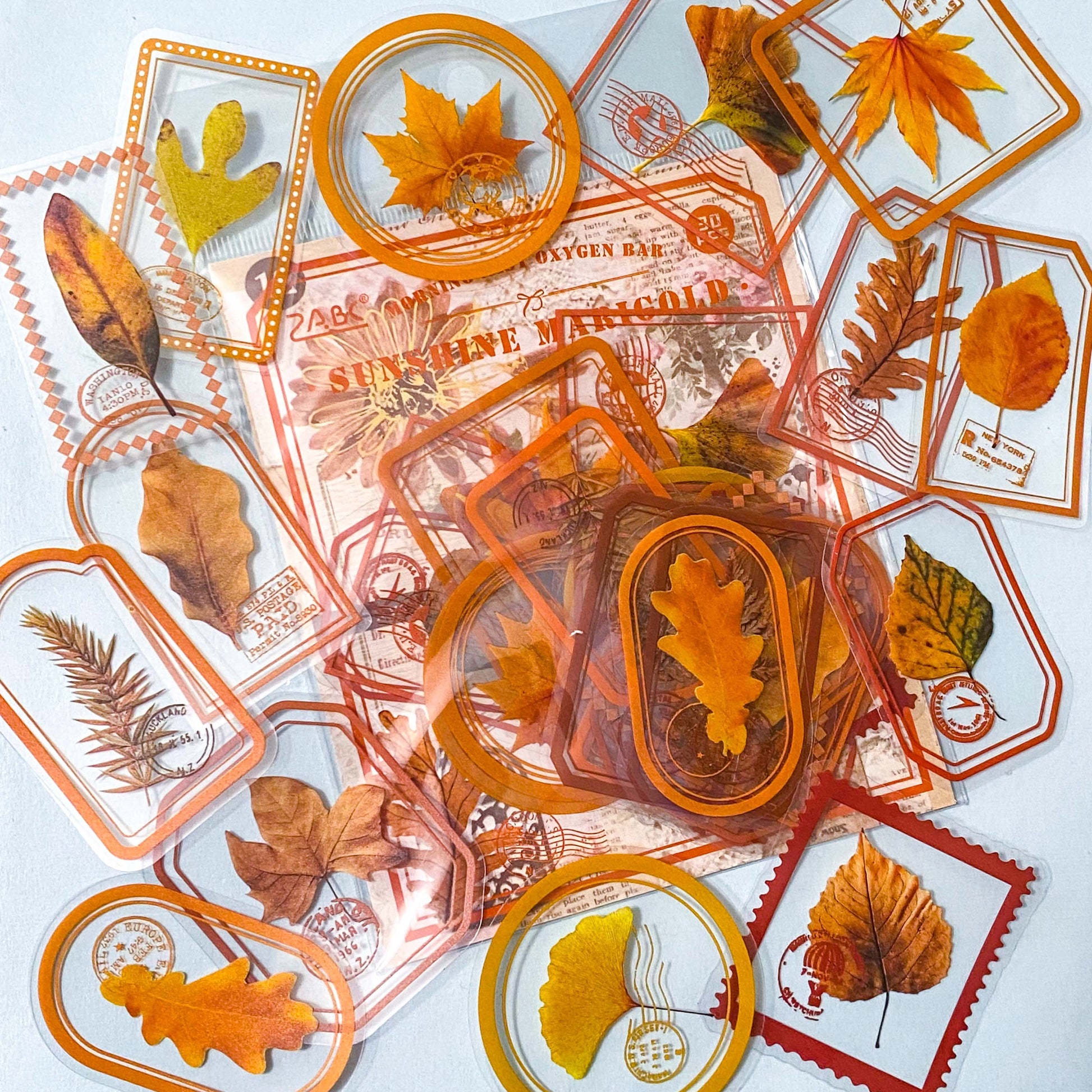autumn leaf leaves stamp stamps clear sticker stickers pack packs orange brown gold green red big large adhesive planner supplies shop cute kawaii plastic pet stationery uk