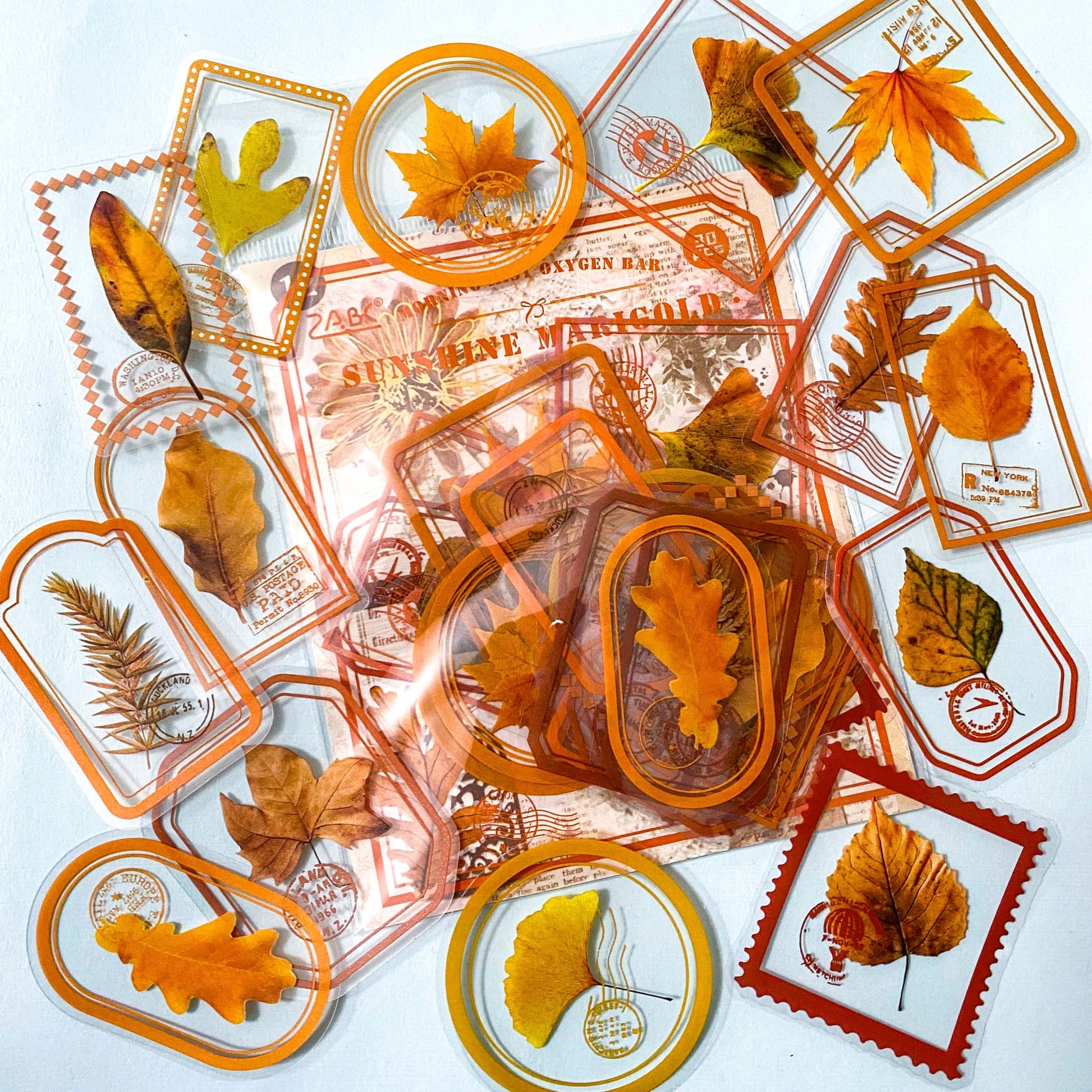 autumn leaf leaves stamp stamps clear sticker stickers pack packs orange brown gold green red big large adhesive planner supplies shop cute kawaii plastic pet stationery uk
