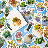 cacti cactus succulent succulents plant plants sticker stickers flake flakes box mini pack 50 uk cute kawaii stationery shop store pot pots pretty gift gifts green flower flowers