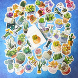 cacti cactus succulent succulents plant plants sticker stickers flake flakes box mini pack 50 uk cute kawaii stationery shop store pot pots pretty gift gifts green flower flowers