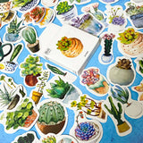 cacti cactus succulent succulents plant plants sticker stickers flake flakes box mini pack 50 uk cute kawaii stationery shop store pot pots pretty gift gifts green flower flowers