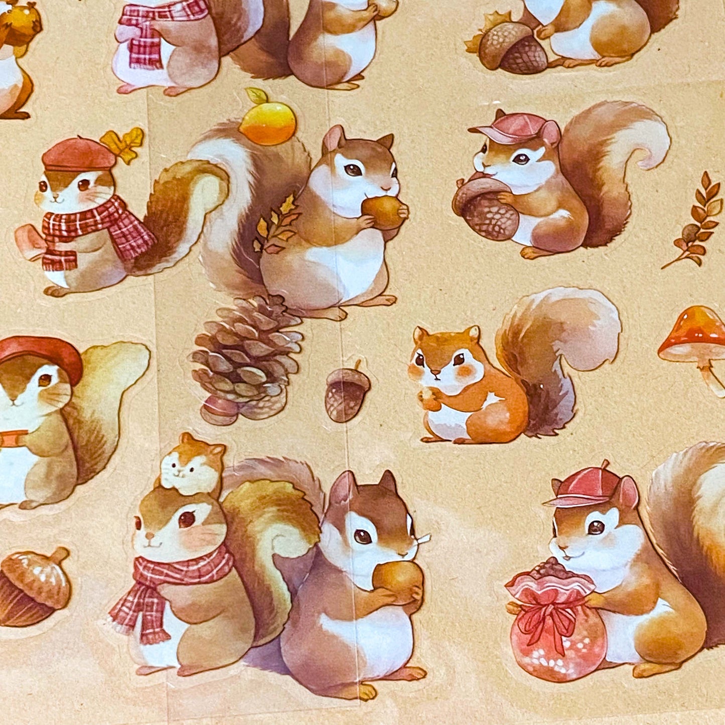 cute squirrel kawaii sticker pack of 6 clear plastic PET sheets with adorable squirrels illustrations and food, nuts, autumn leaves and treats