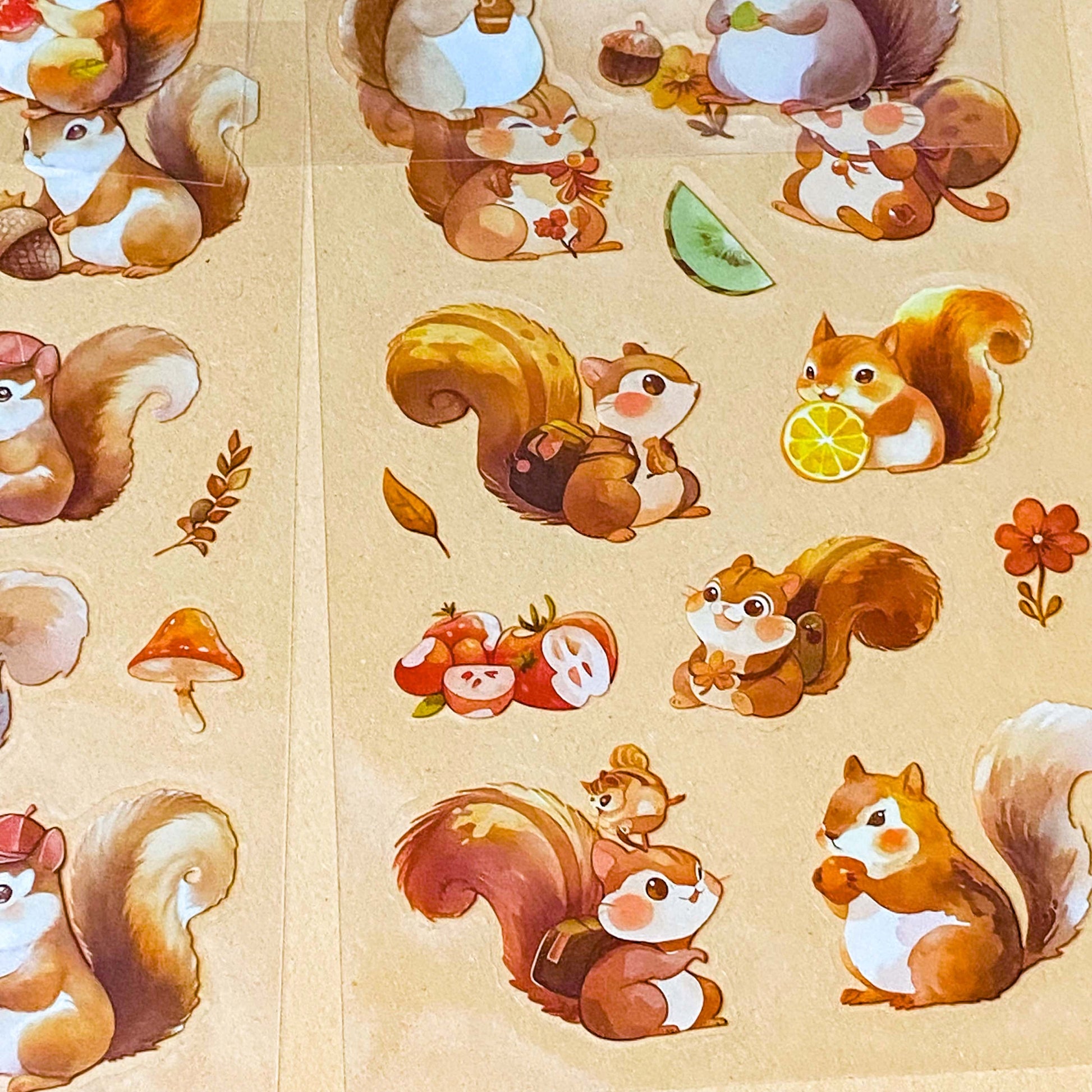 cute squirrel kawaii sticker pack of 6 clear plastic PET sheets with adorable squirrels illustrations and food, nuts, autumn leaves and treats