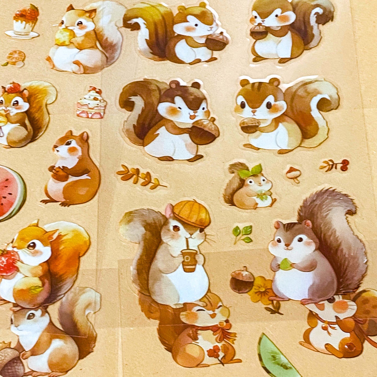 cute squirrel kawaii sticker pack of 6 clear plastic PET sheets with adorable squirrels illustrations and food, nuts, autumn leaves and treats
