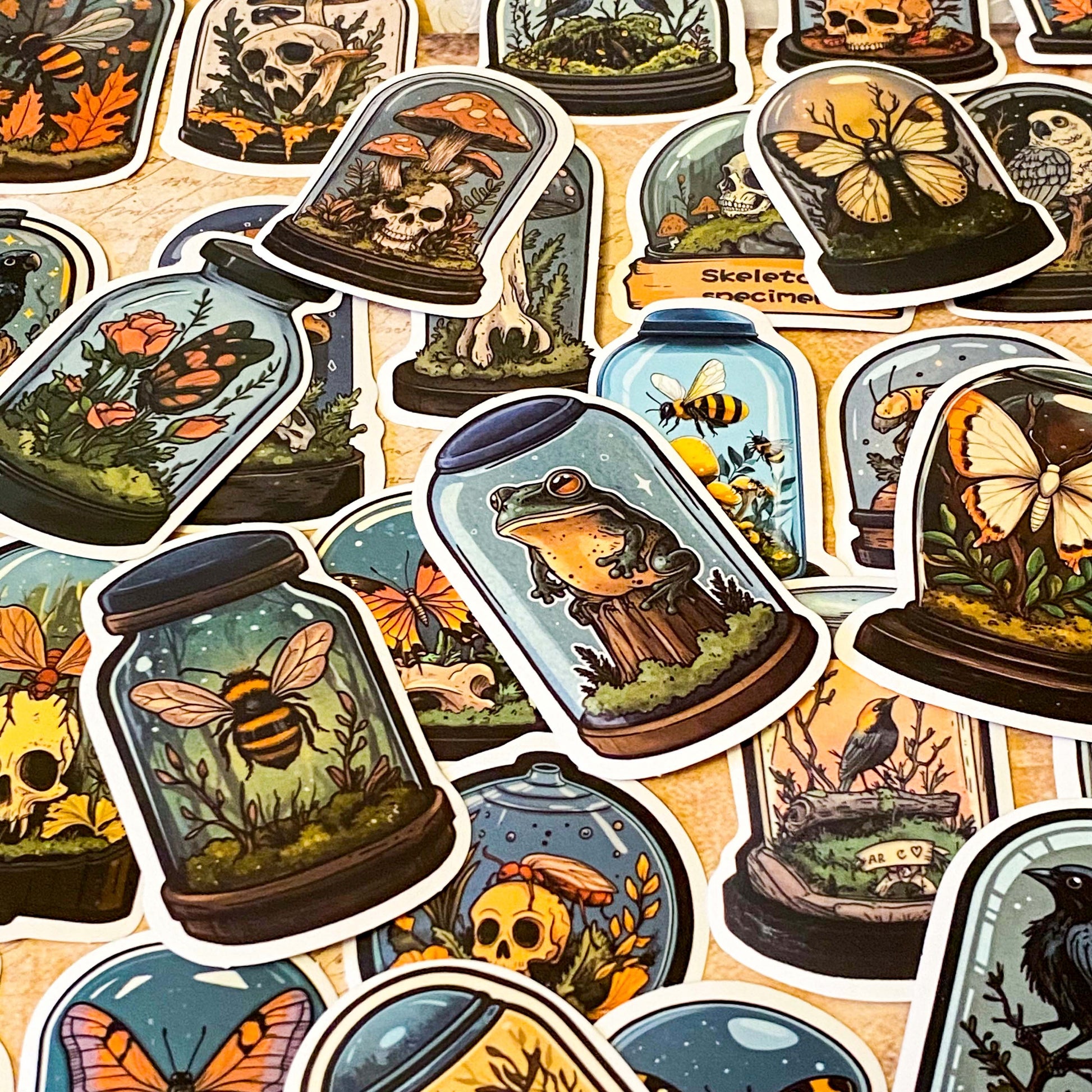 curiosity cabinet specimen dome stickers with butterflies, mushrooms, birds and skulls vintage natural history style laptop sticker set
