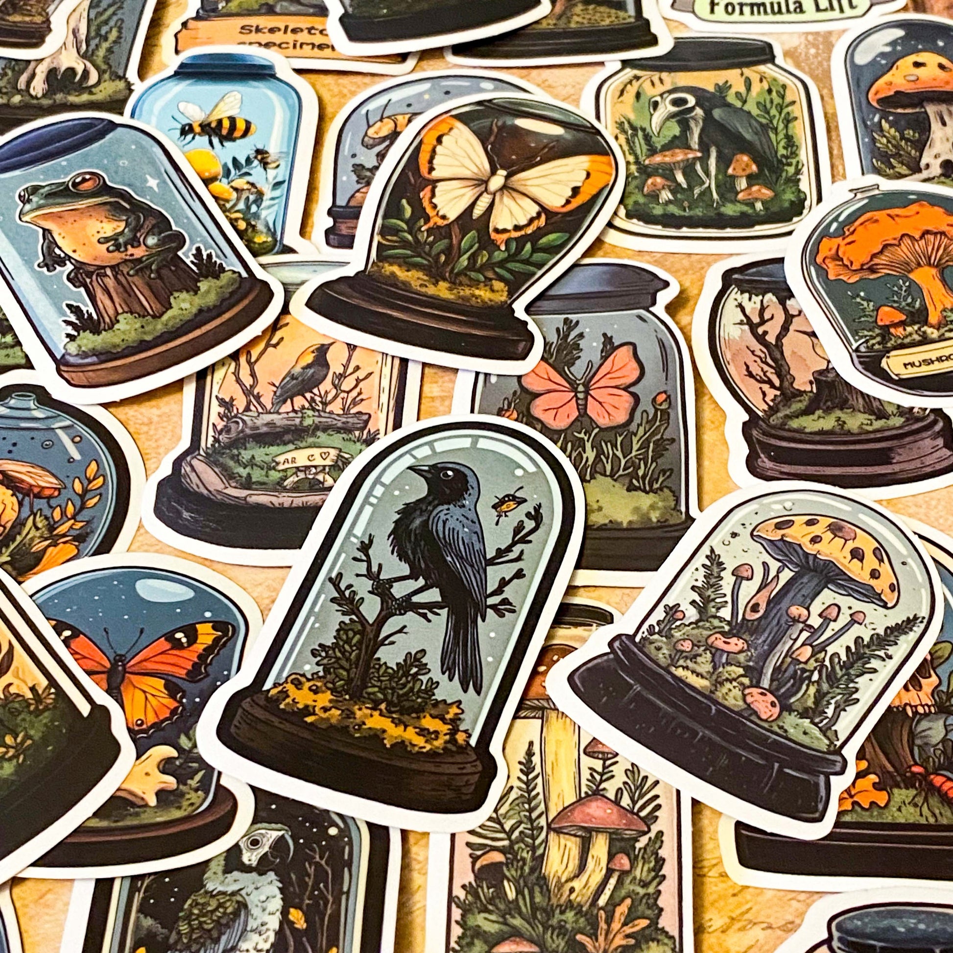 curiosity cabinet specimen dome stickers with butterflies, mushrooms, birds and skulls vintage natural history style laptop sticker set