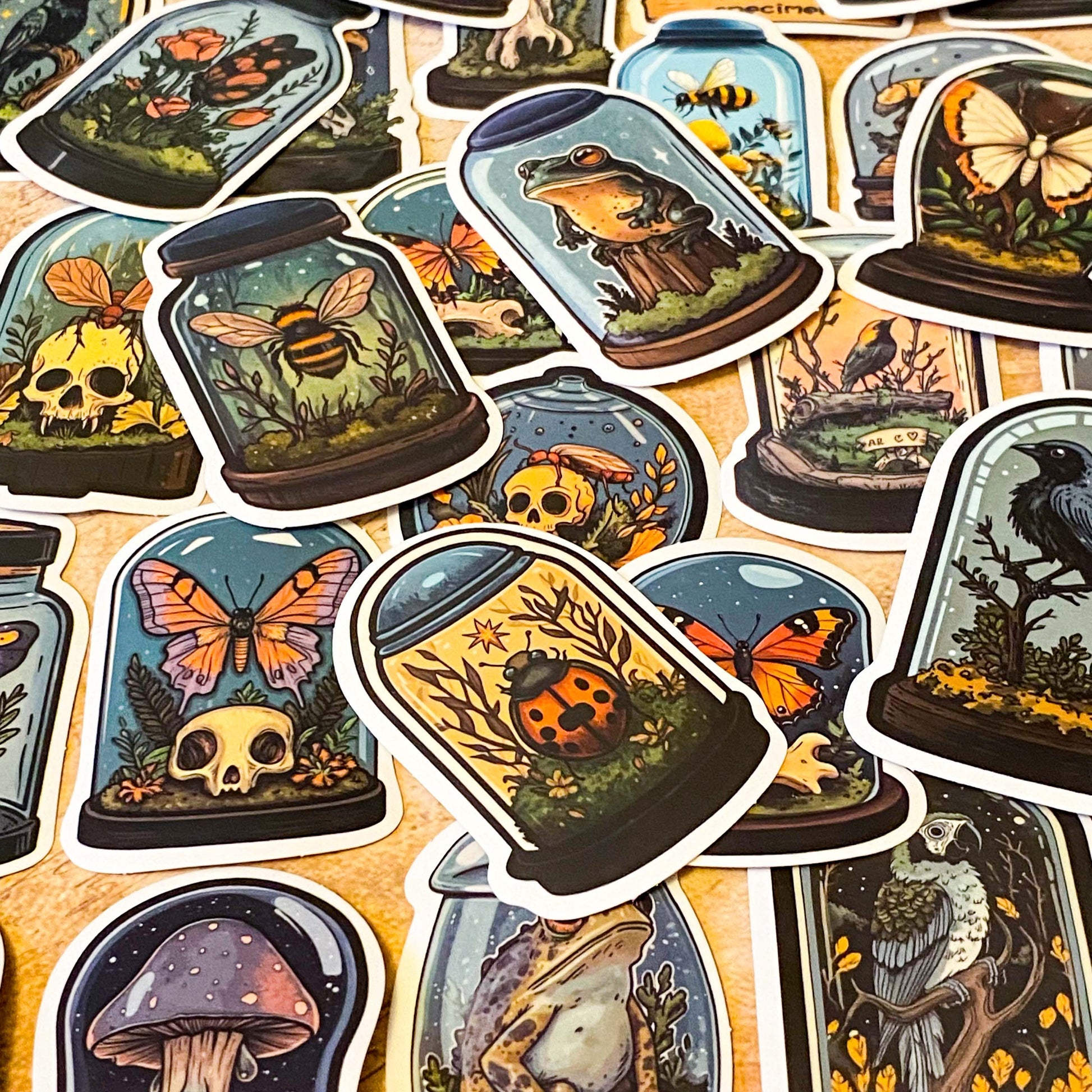curiosity cabinet specimen dome stickers with frogs, bees, ladybirds and birds vintage natural history style laptop sticker set