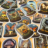 curiosity cabinet specimen dome stickers with frogs, bees, ladybirds and birds vintage natural history style laptop sticker set