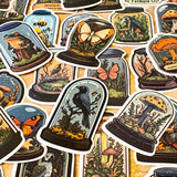 curiosity cabinet specimen dome stickers with butterflies, mushrooms, birds and skulls vintage natural history style laptop sticker set
