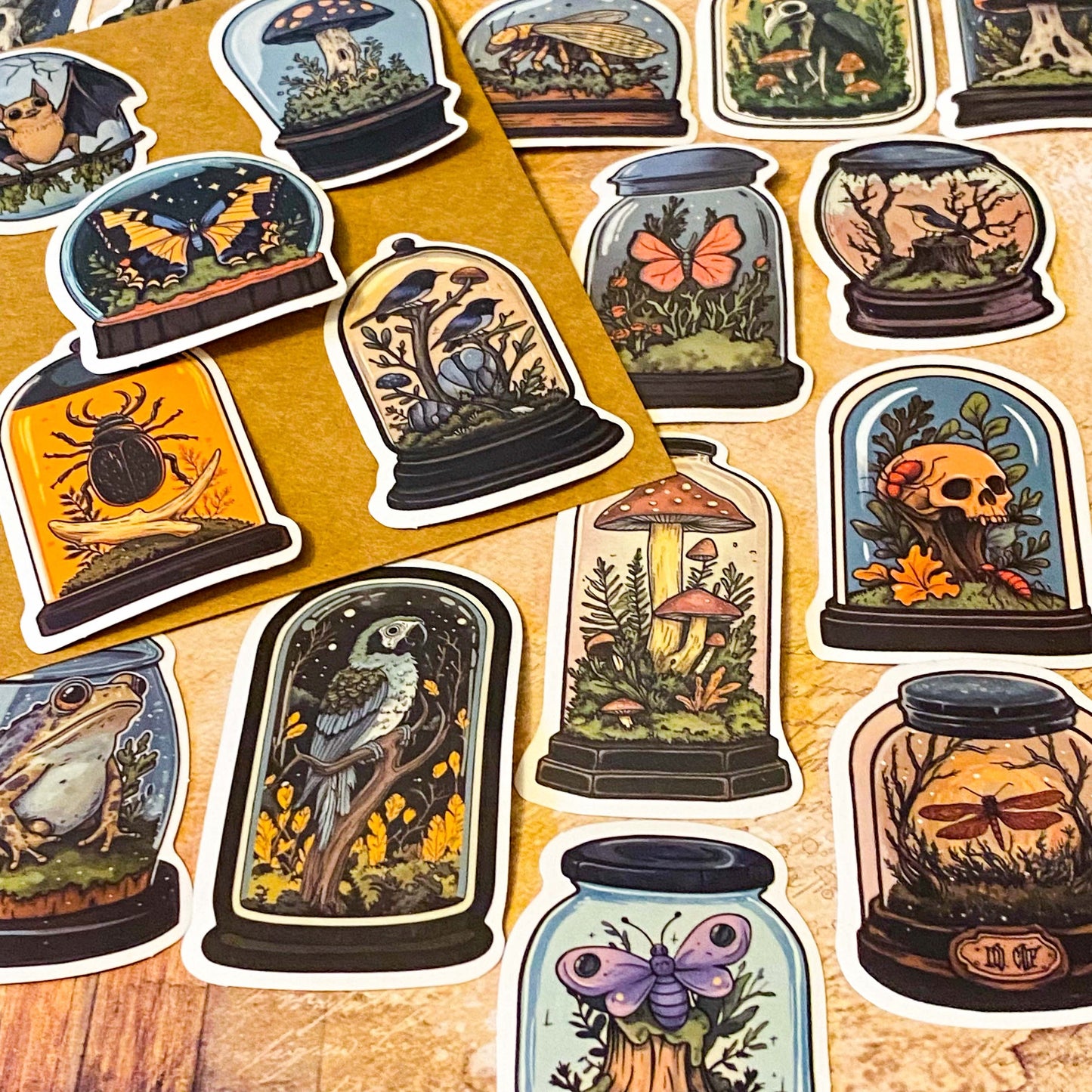 curiosity cabinet specimen dome stickers with ravens vintage natural history style laptop sticker set parrots, toads, skulls and butterflies