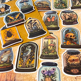 curiosity cabinet specimen dome stickers with ravens vintage natural history style laptop sticker set parrots, toads, skulls and butterflies