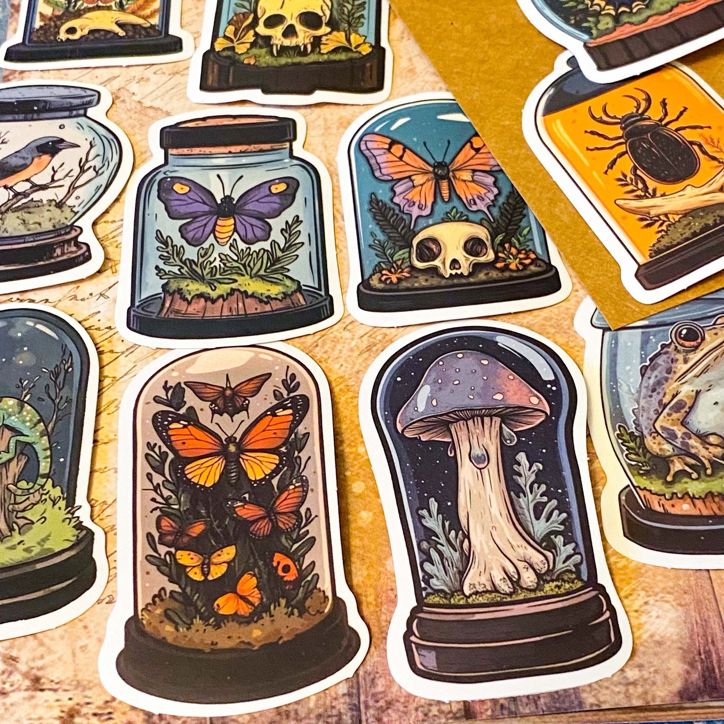 curiosity cabinet specimen dome stickers with butterflies, mushrooms, birds and skulls vintage natural history style laptop sticker set