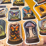 curiosity cabinet specimen dome stickers with butterflies, mushrooms, birds and skulls vintage natural history style laptop sticker set