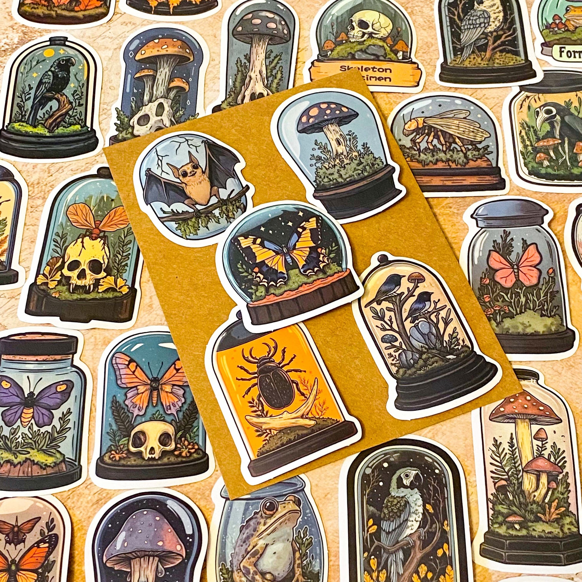 curiosity cabinet specimen dome stickers with butterflies, mushrooms, birds and skulls vintage natural history style laptop sticker set
