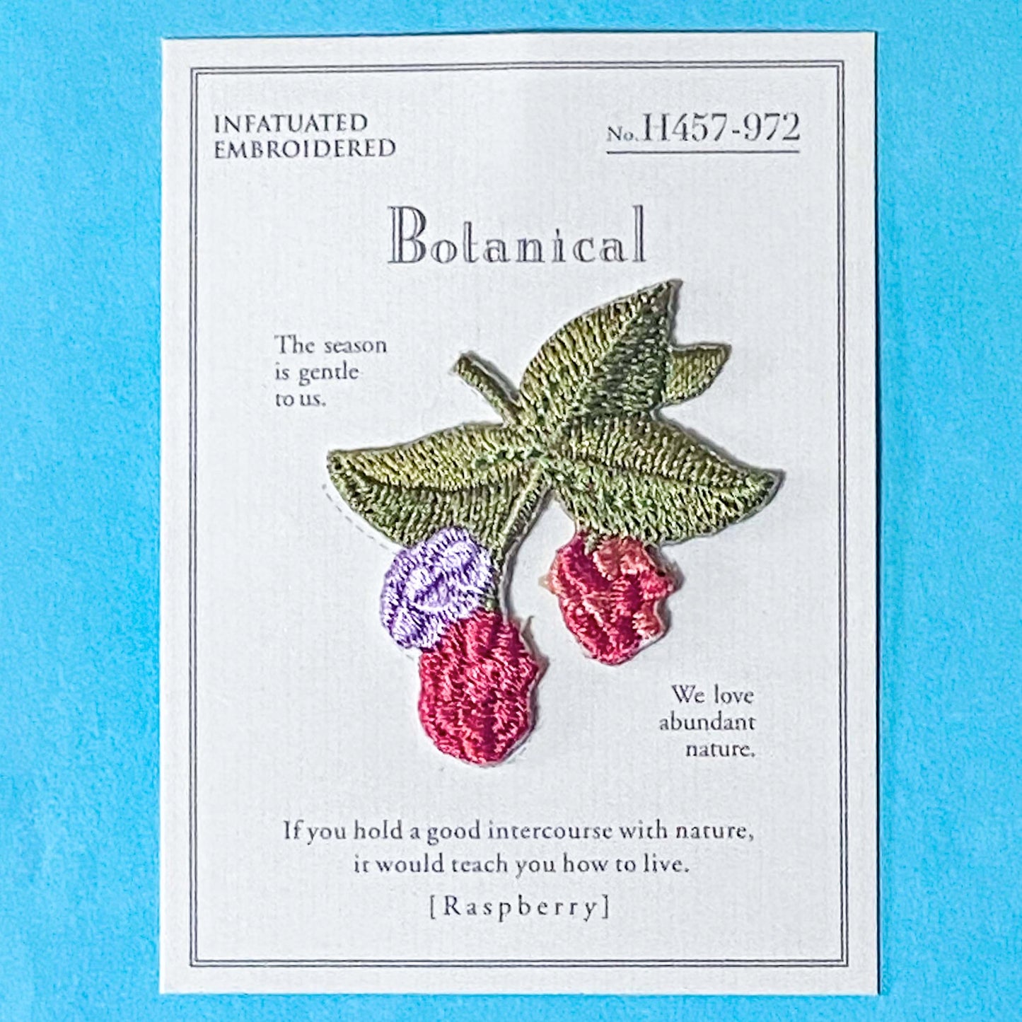 raspberry embroidery iron on patch on a blue background