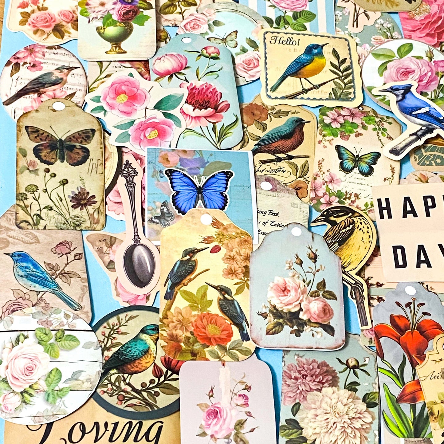Vintage Botanical Bird & Rose Sticker Pack- 52/26 Cottagecore Laptop & Scrapbook Stickers