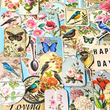 Vintage Botanical Bird & Rose Sticker Pack- 52/26 Cottagecore Laptop & Scrapbook Stickers