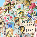 Vintage Botanical Bird & Rose Sticker Pack- 52/26 Cottagecore Laptop & Scrapbook Stickers