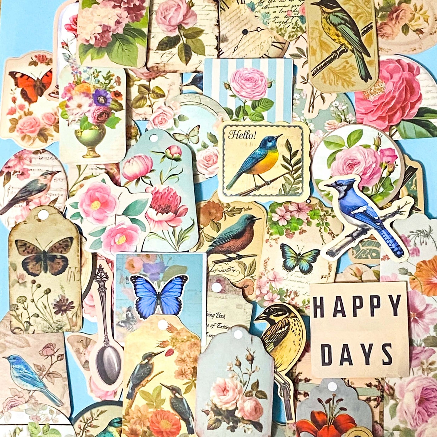 Vintage Botanical Bird & Rose Sticker Pack- 52/26 Cottagecore Laptop & Scrapbook Stickers