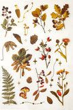 MUTED WOODLAND PLANTS Clear Plastic Sticker Sheet/s 8 or Pack