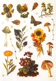 MUTED WOODLAND PLANTS Clear Plastic Sticker Sheet/s 8 or Pack