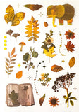 MUTED WOODLAND PLANTS Clear Plastic Sticker Sheet/s 8 or Pack