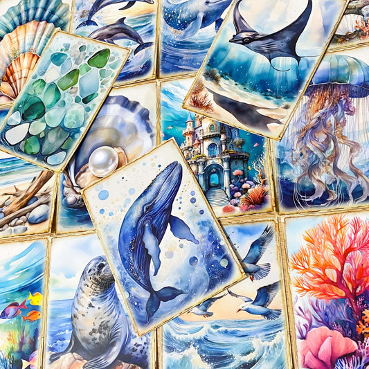 ocean and seashore shell animal sea life whale dolphin seal shells seaweed shell jellyfish marine cute kawaii pretty postcard postcards cards blank greetings uk stationery shop store supplies beach summer octopus fish