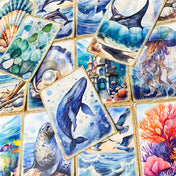 ocean and seashore shell animal sea life whale dolphin seal shells seaweed shell jellyfish marine cute kawaii pretty postcard postcards cards blank greetings uk stationery shop store supplies beach summer octopus fish