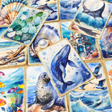 ocean and seashore shell animal sea life whale dolphin seal shells seaweed shell jellyfish marine cute kawaii pretty postcard postcards cards blank greetings uk stationery shop store supplies beach summer