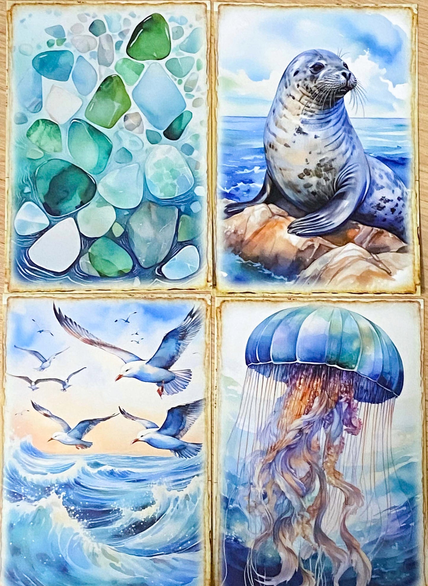 ocean and seashore shell animal sea life whale dolphin seal shells seaweed shell jellyfish marine cute kawaii pretty postcard postcards cards blank greetings uk stationery shop store supplies beach summer