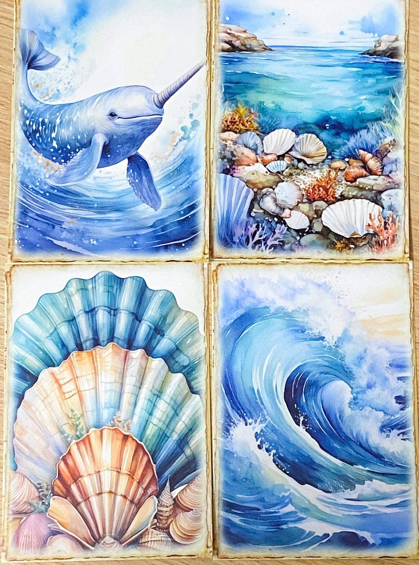 ocean and seashore shell animal sea life whale dolphin seal shells seaweed shell jellyfish marine cute kawaii pretty postcard postcards cards blank greetings uk stationery shop store supplies beach summer