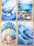ocean and seashore shell animal sea life whale dolphin seal shells seaweed shell jellyfish marine cute kawaii pretty postcard postcards cards blank greetings uk stationery shop store supplies beach summer