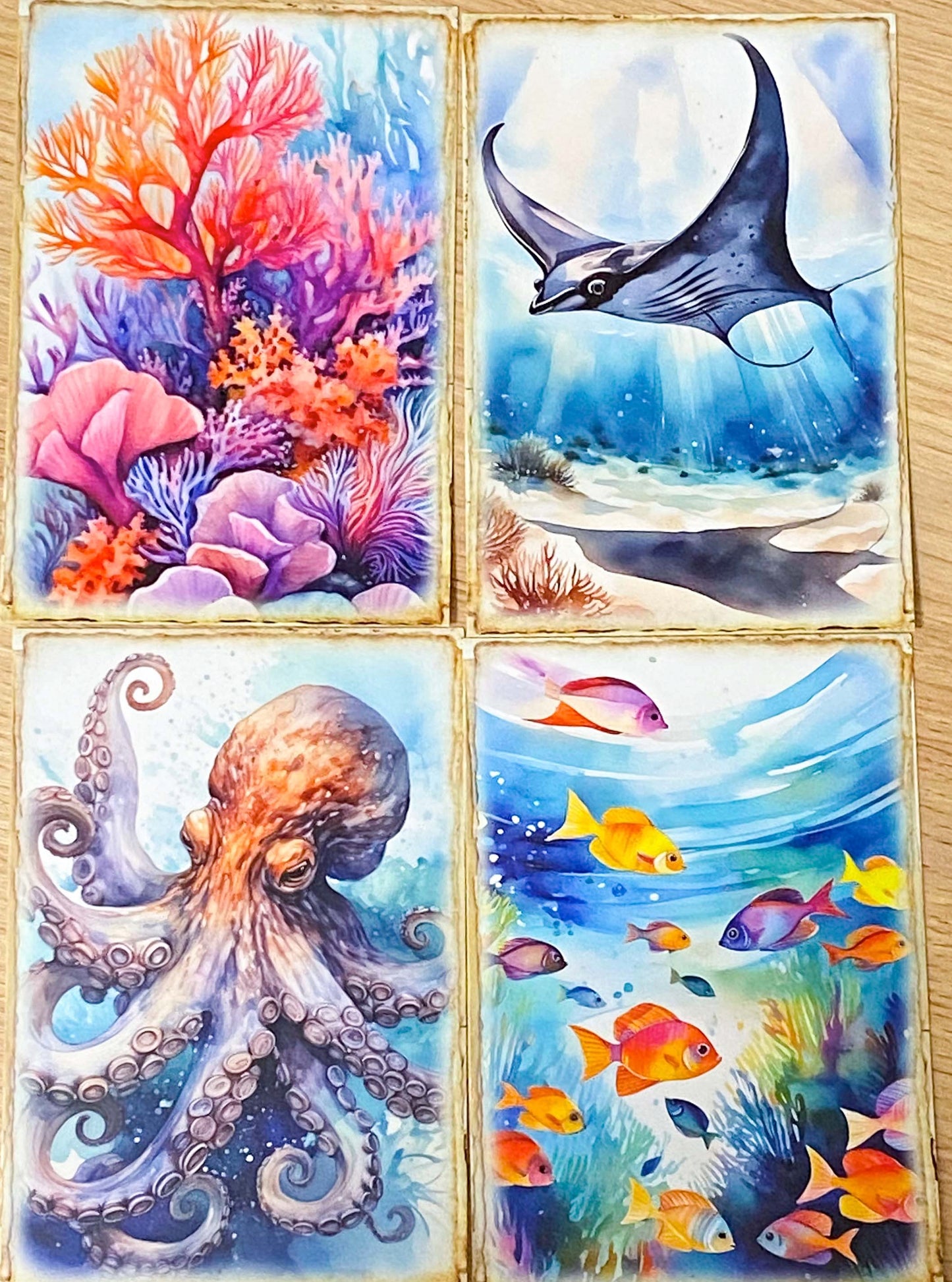 ocean and seashore shell animal sea life whale dolphin seal shells seaweed shell jellyfish marine cute kawaii pretty postcard postcards cards blank greetings uk stationery shop store supplies beach summer