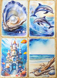 ocean and seashore shell animal sea life whale dolphin seal shells seaweed shell jellyfish marine cute kawaii pretty postcard postcards cards blank greetings uk stationery shop store supplies beach summer