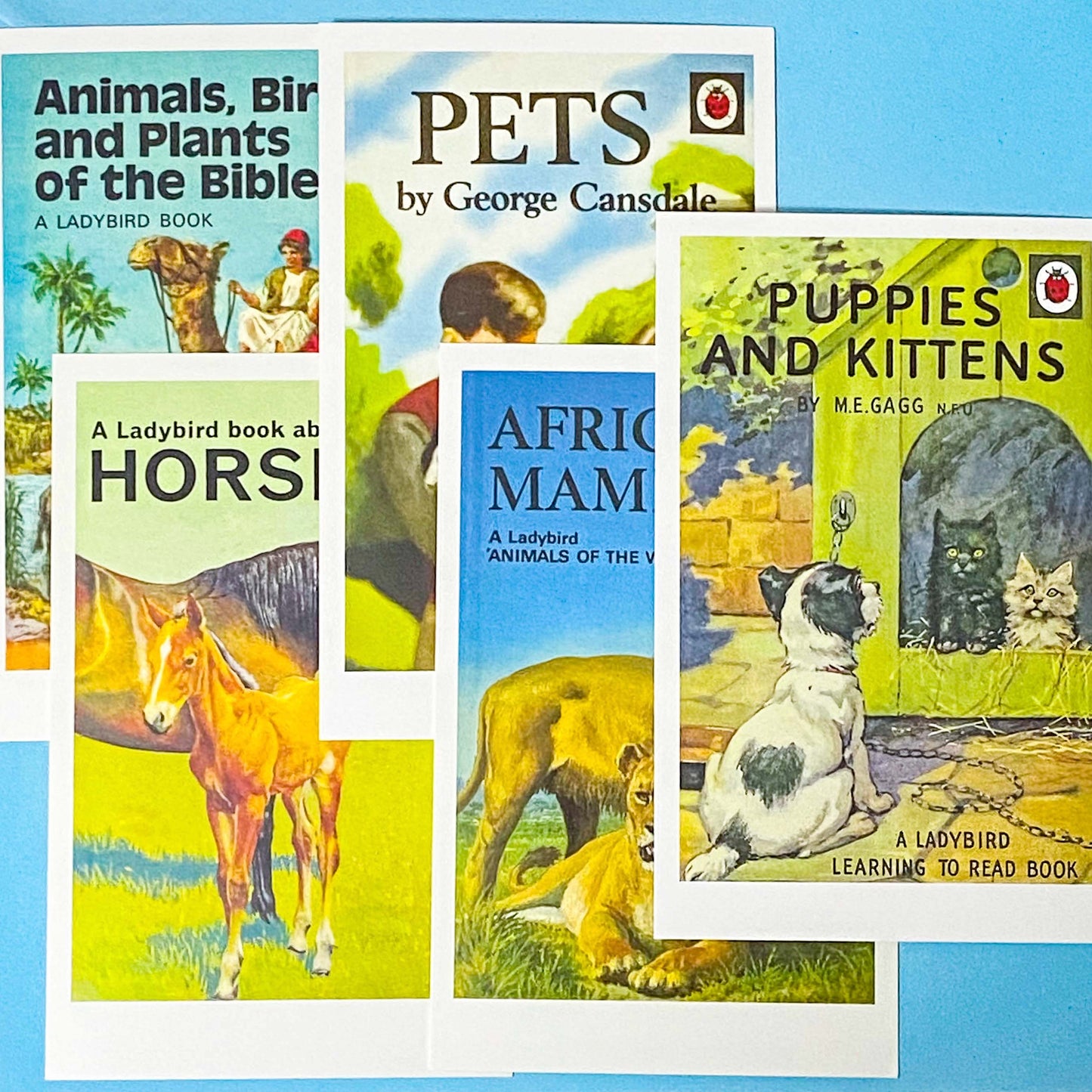 vintage ladybird book cover postcards animals and pets set