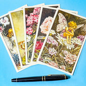 five vintage flower fairy postcards featuring sweet william, phlox, rose, geranium on a blue background