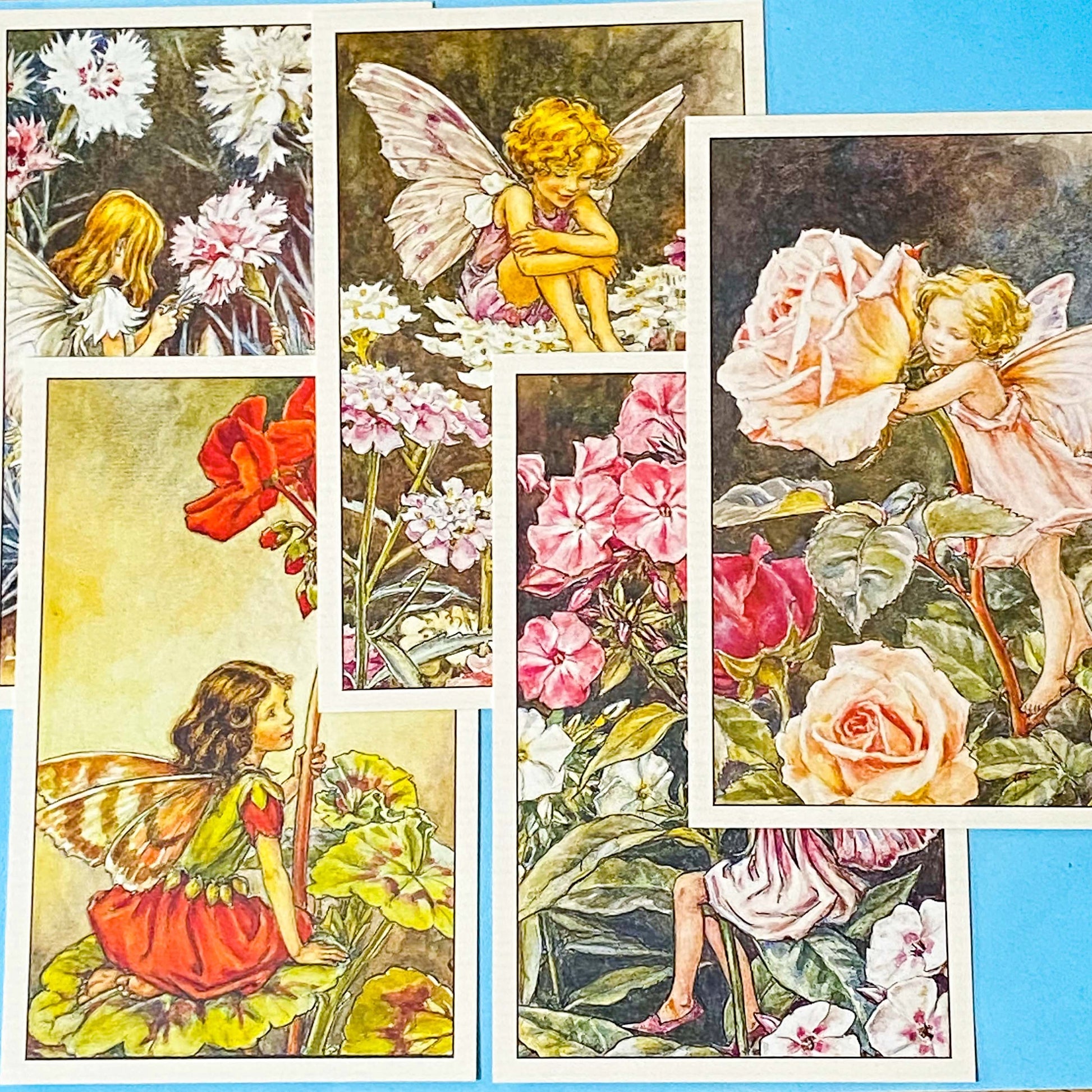 vintage botanical flower fairy postcards showing garden flower fairies including phlox and rose illustrations