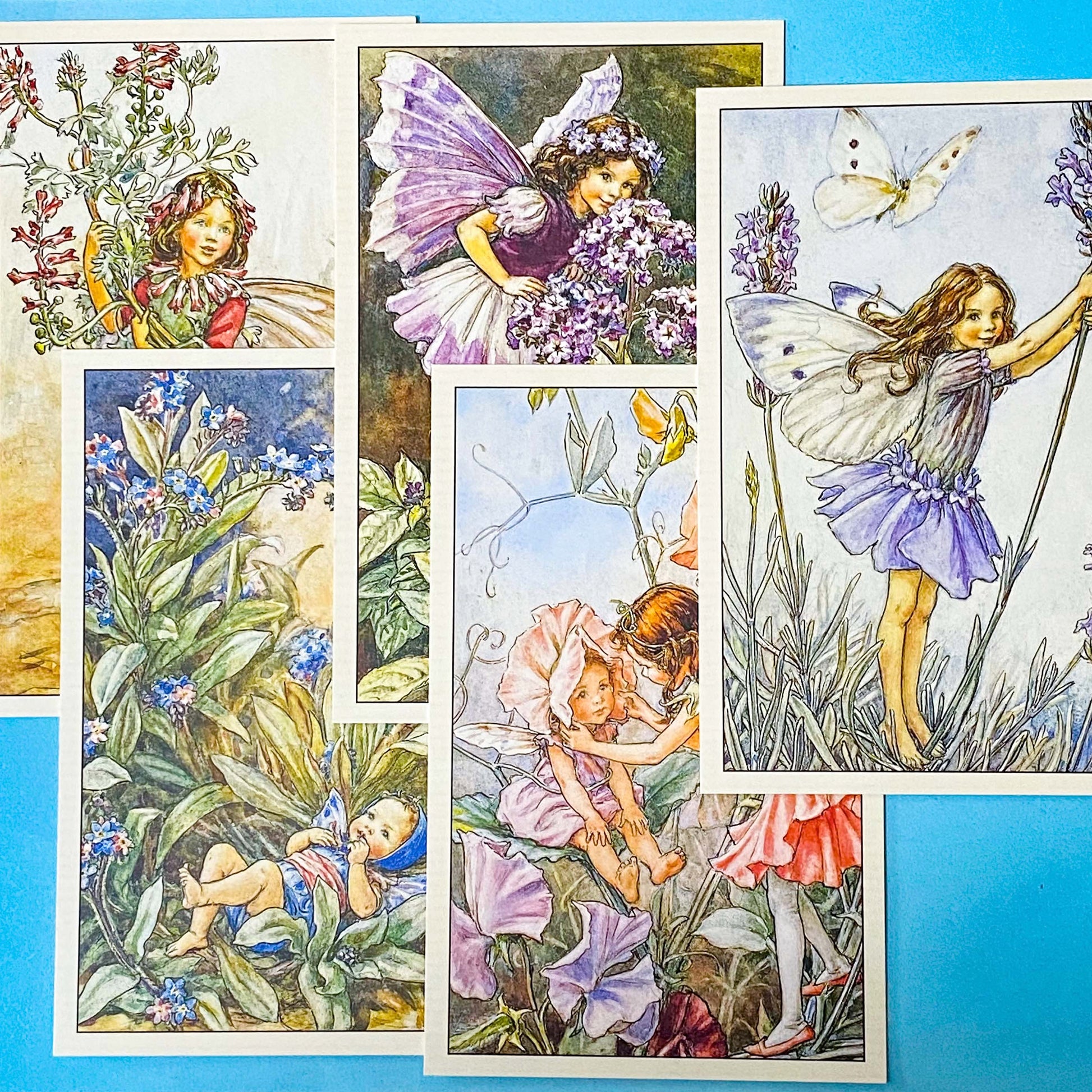 five vintage flower fairy postcards featuring forget me not, sweet pea, heliotrope and lavender fairies on a blue background