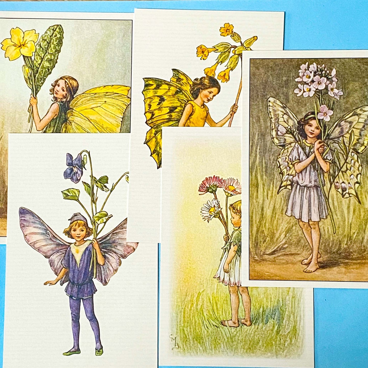 five vintage flower fairy postcards featuring primrose, violet, cowslip, daisy and lady's smock fairies