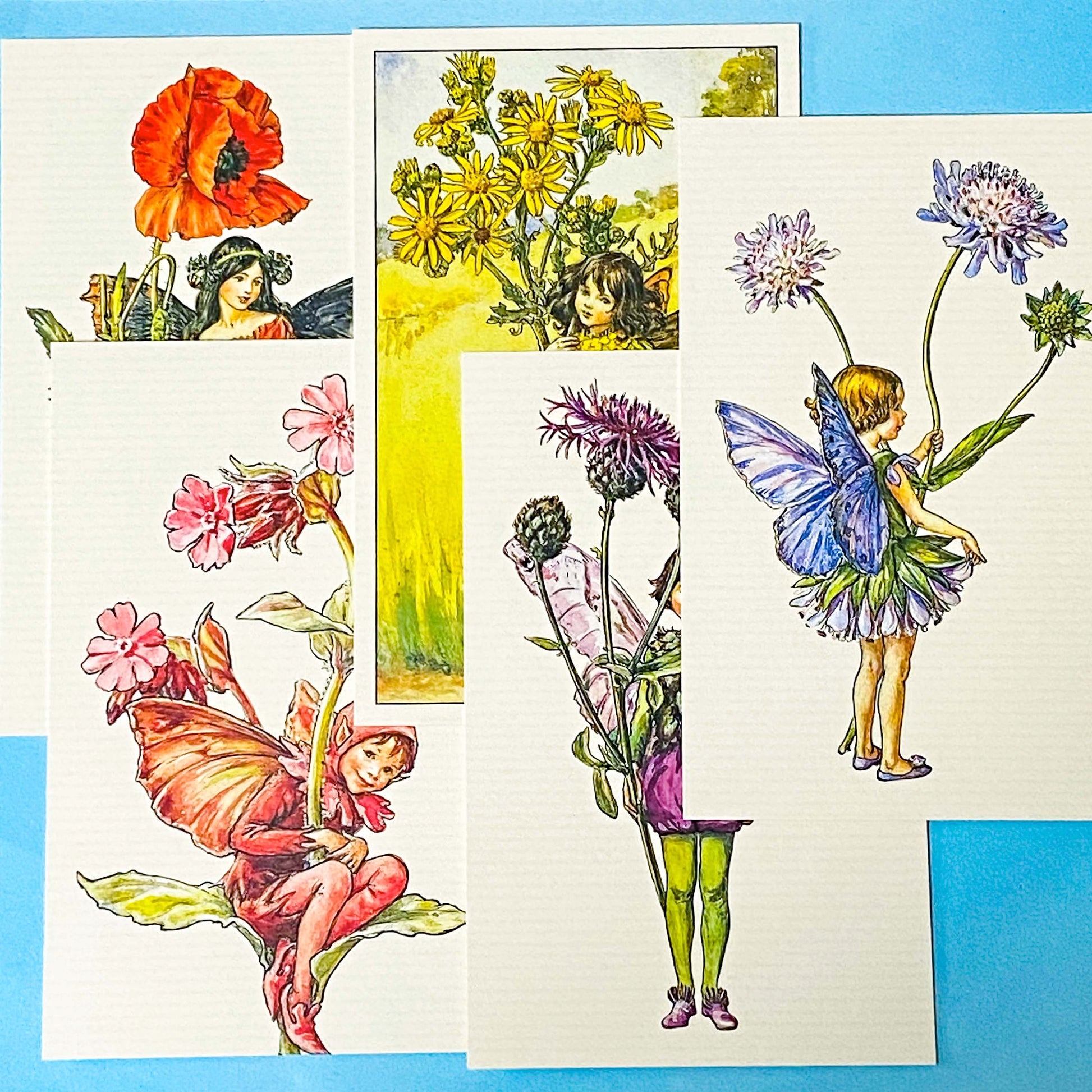 vintage botanical flower fairy postcards showing wildflower fairies including poppy and scabious illustrations