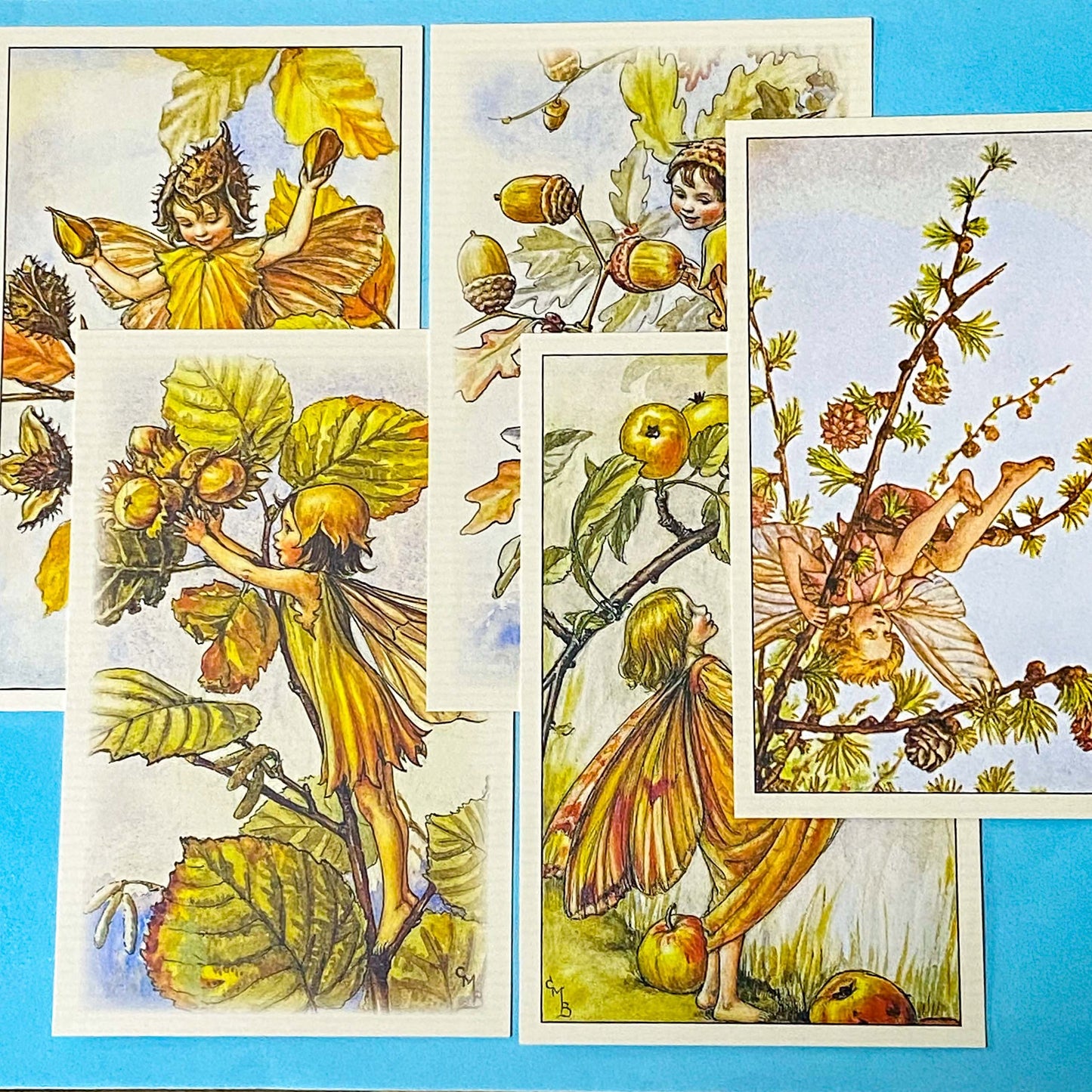 set of 5 vintage flower fairy illustration postcards showing autumn colours and acorns, hazelnuts and apples.