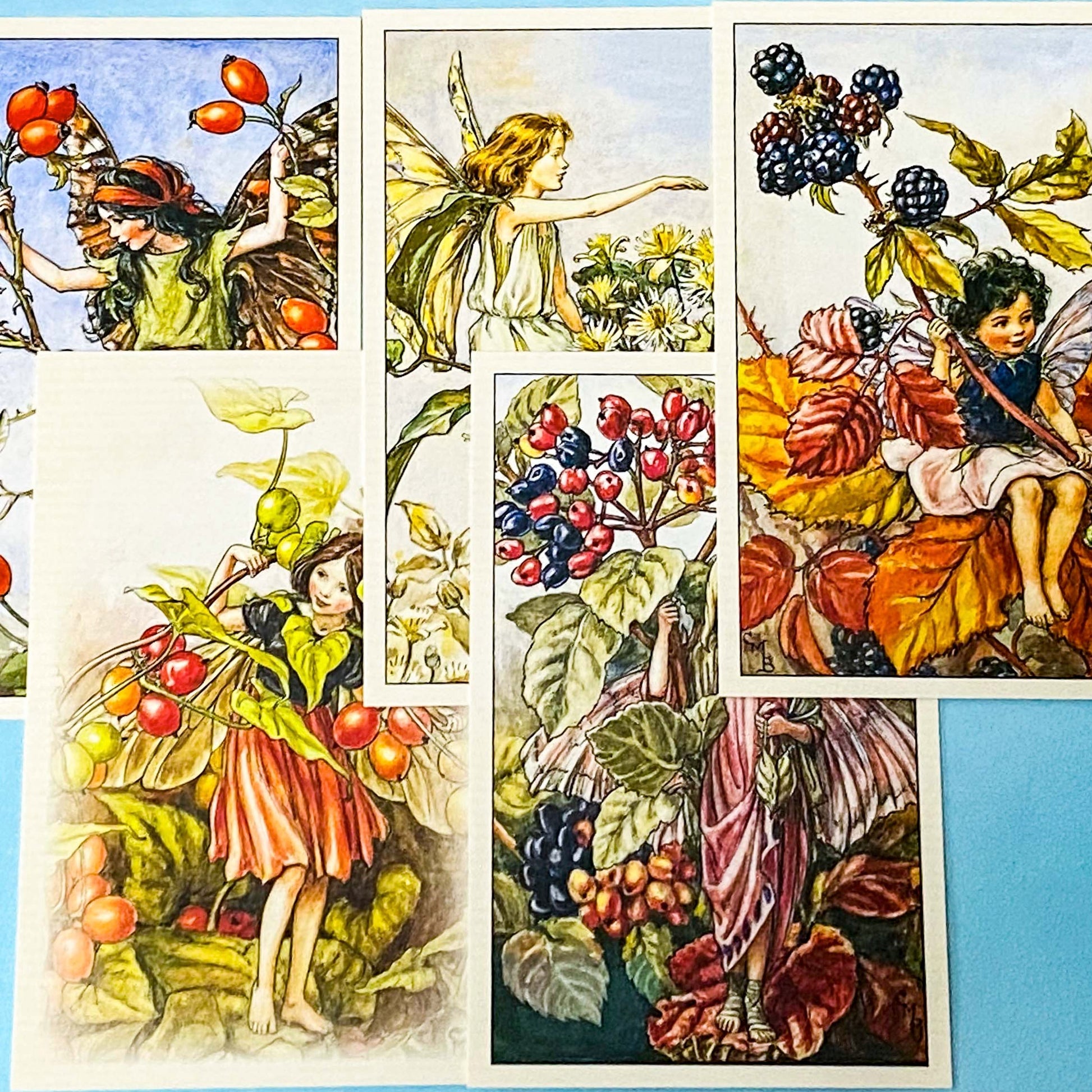 vintage flower fairy postcards set of 5 with blackberry, rose hip, crab apple, wayfaring tree and black bryony.