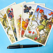set of 5 flower fairies postcards of autumn fruits and flowers including crab apple, rose hip, blackberry