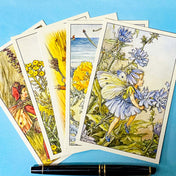 set of 5 flower fairies botanical postcards including chicory, yellow horned poppy, tansy, ragwort and rush grass 